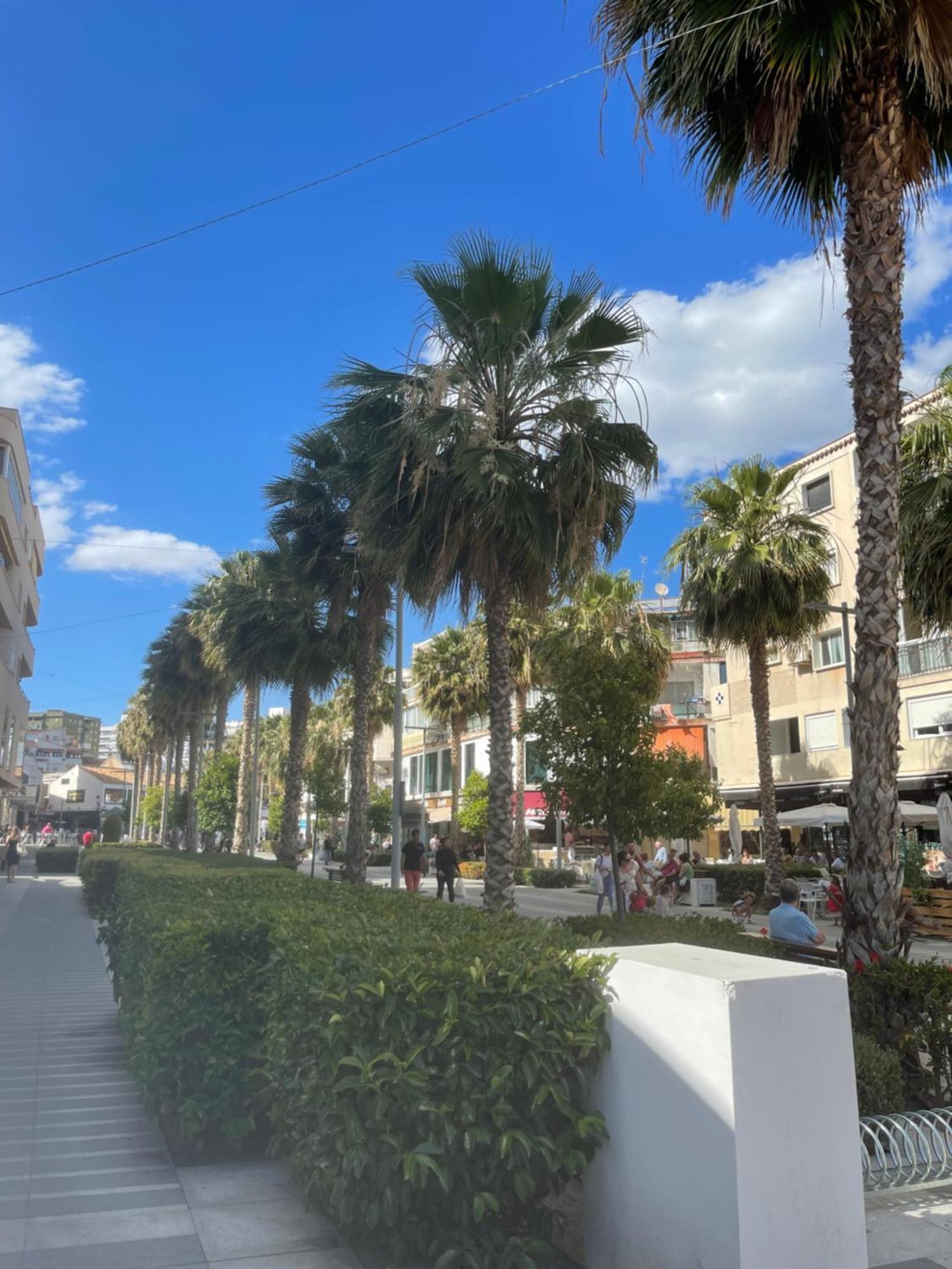 Alma De Duna Precious Sea View Centre La Nogalera Lejlighed Torremolinos